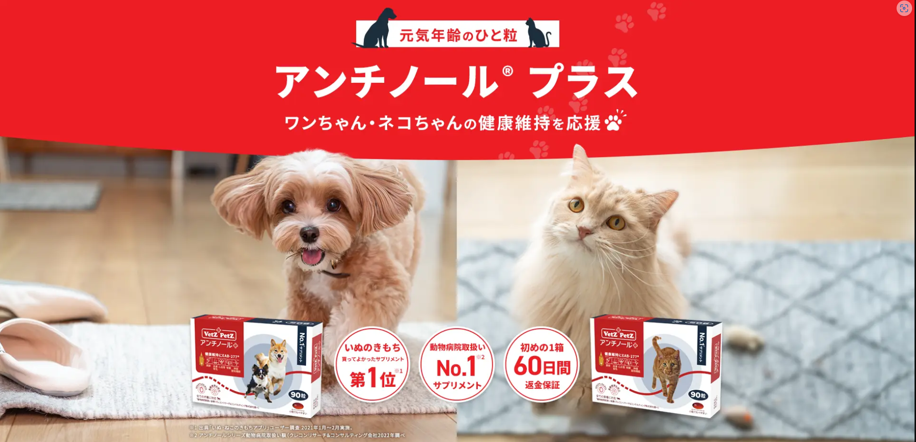 アンチノール増量キャンペーン実施中 | 葉山一色ペットクリニック